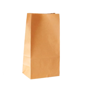 Sacs en papier kraft